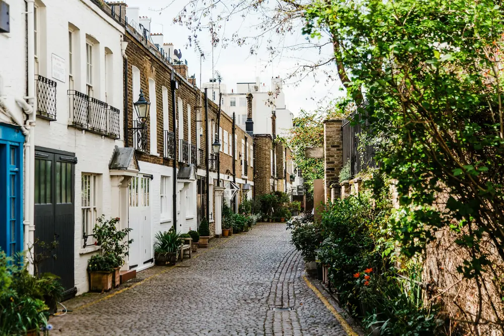 Cobbled London mews of whitewashed and yellow-brick houses with climbing plants and potted shrubs by the doors
